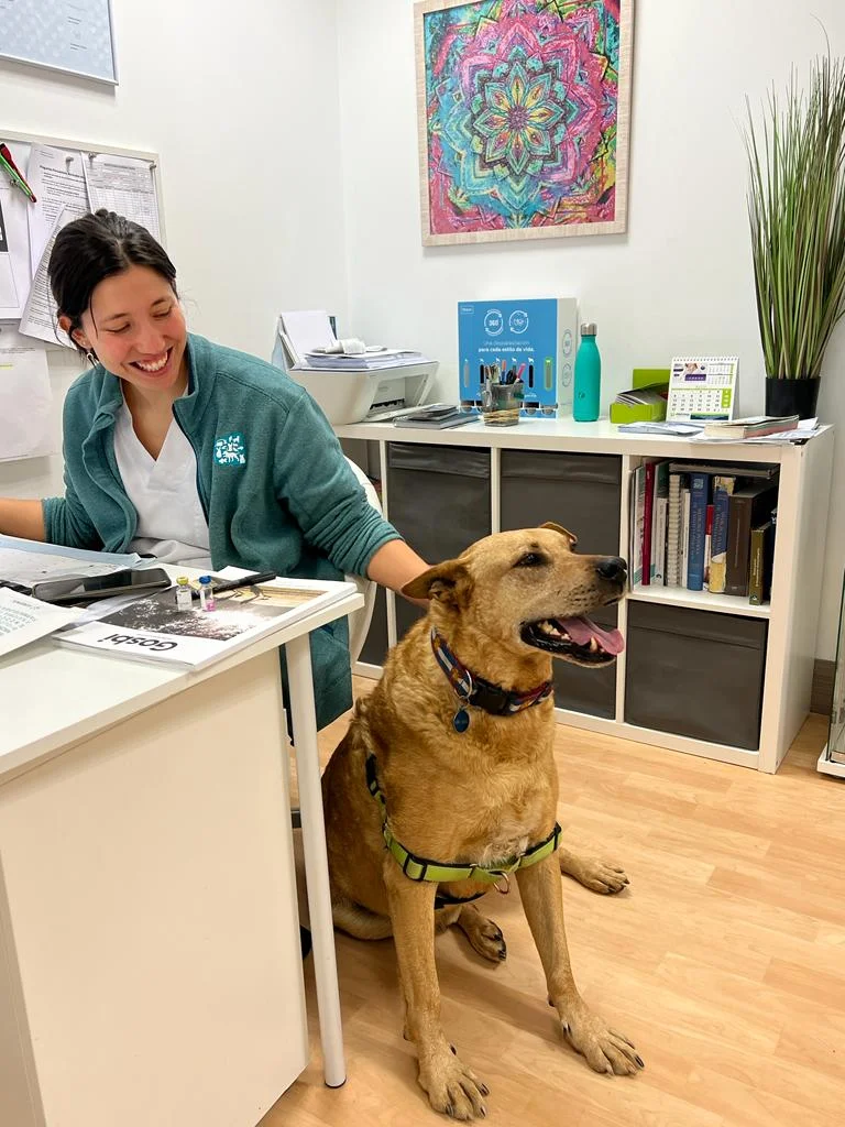 Estefanía Corvalán, veterinaria etóloga, en su consulta con un perro