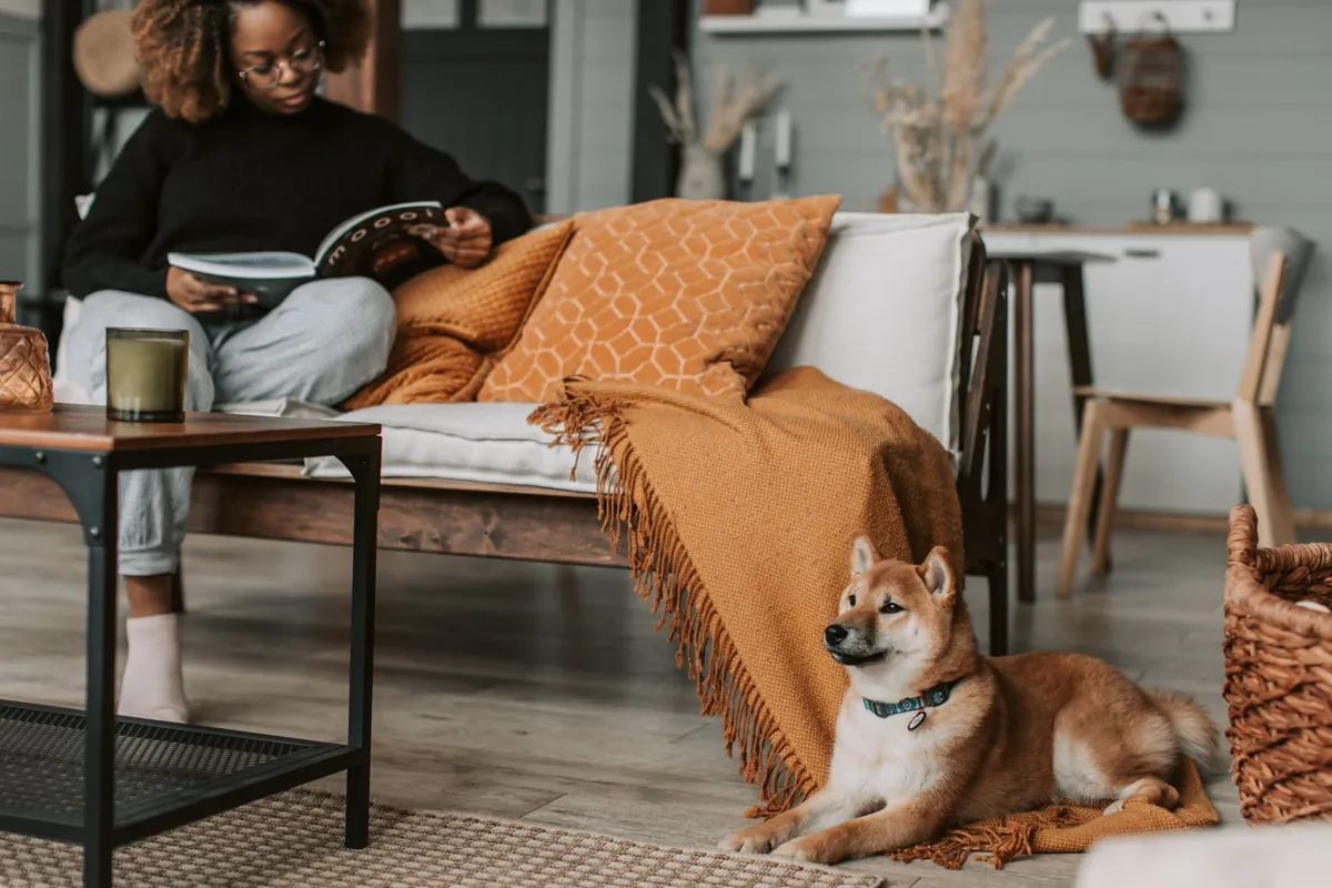 Salón de una casa con un perro tumbado en el suelo junto al sofá